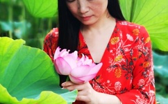 百度影音av网站